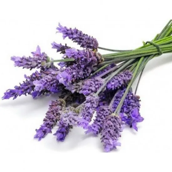 MIGEI Manual -detergent universal pentru pardoseala cu parfum de lavanda, Asevi, 5L