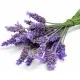 MIGEI Manual -detergent universal pentru pardoseala cu parfum de lavanda, Asevi, 5L