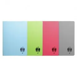 Caiet a4 48 file coperta plastic atinge excelenta dr