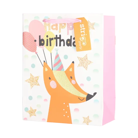 Set 4 pungi hartie 18x23(h)x10cm 210 gsm. PART016