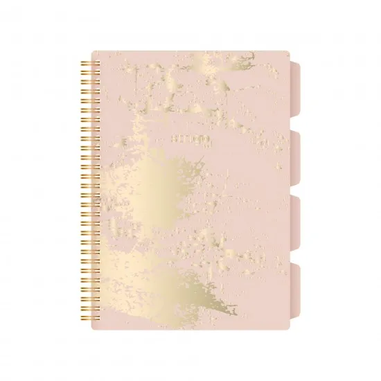 Caiet cu spirala si separatoare, STRIGO PADS Project Book Marmorat B5, Matematica, PADS030