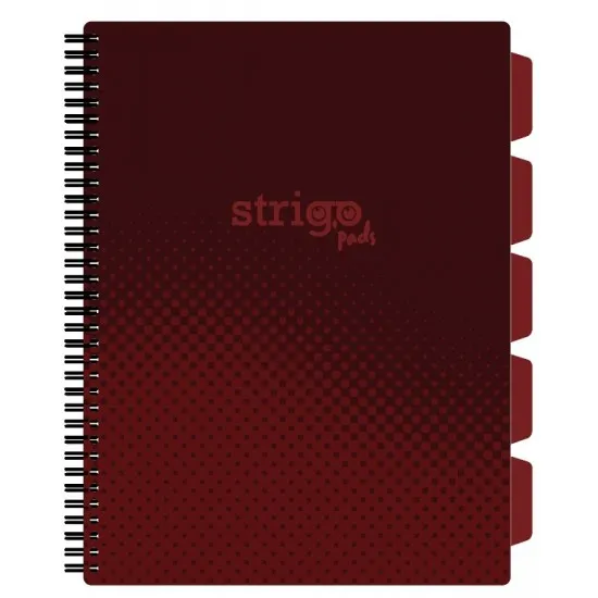 Caiet cu spirala si separatoare, STRIGO PADS Project Book Basic A4, Matematica, PADS056