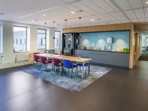 Covorașe profesionale igienice pentru curățenie și dezinfectare