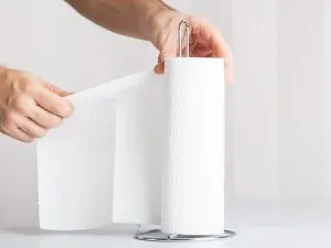 Igiena personală la standarde înalte - Prosoape de hârtie, rola cearceaf hârtie și alte articole pentru o buna igienă și curățenie