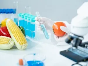 Ce este sistemul HACCP și cum îl implementezi corect în afacerea ta