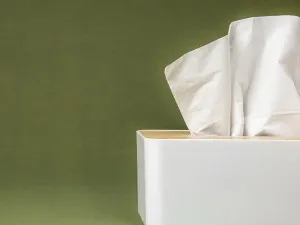 Consumabilele de hârtie de unică folosință pentru o igienă impecabilă