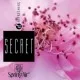 Rezerva odorizant prin nano-atomizare, Secret - Spring Air, 500ml Rezerva odorizant prin nano-atomizare, Secret - Spring Air, 500ml