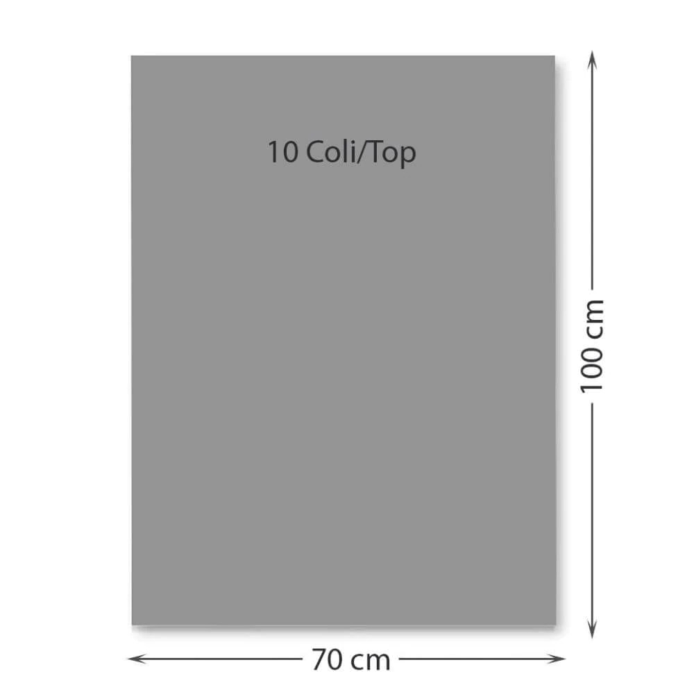 Carton color 70x100 cm  220g/mp  Favini x 10coli-15 GRI