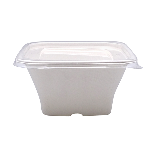 Bol patrat bio 40 oz l016 50 buc/set