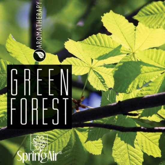 Rezerva odorizant prin nano-atomizare GREEN FOREST – Spring Air 500ml sanito.ro