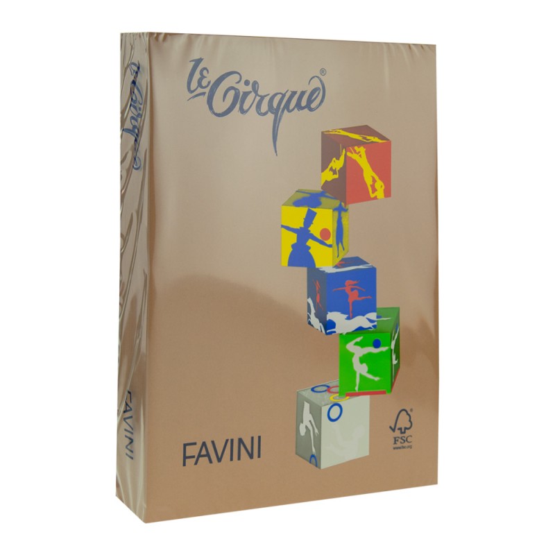 Carton color 160g/mp a4 maro piele Favini-300 Favini