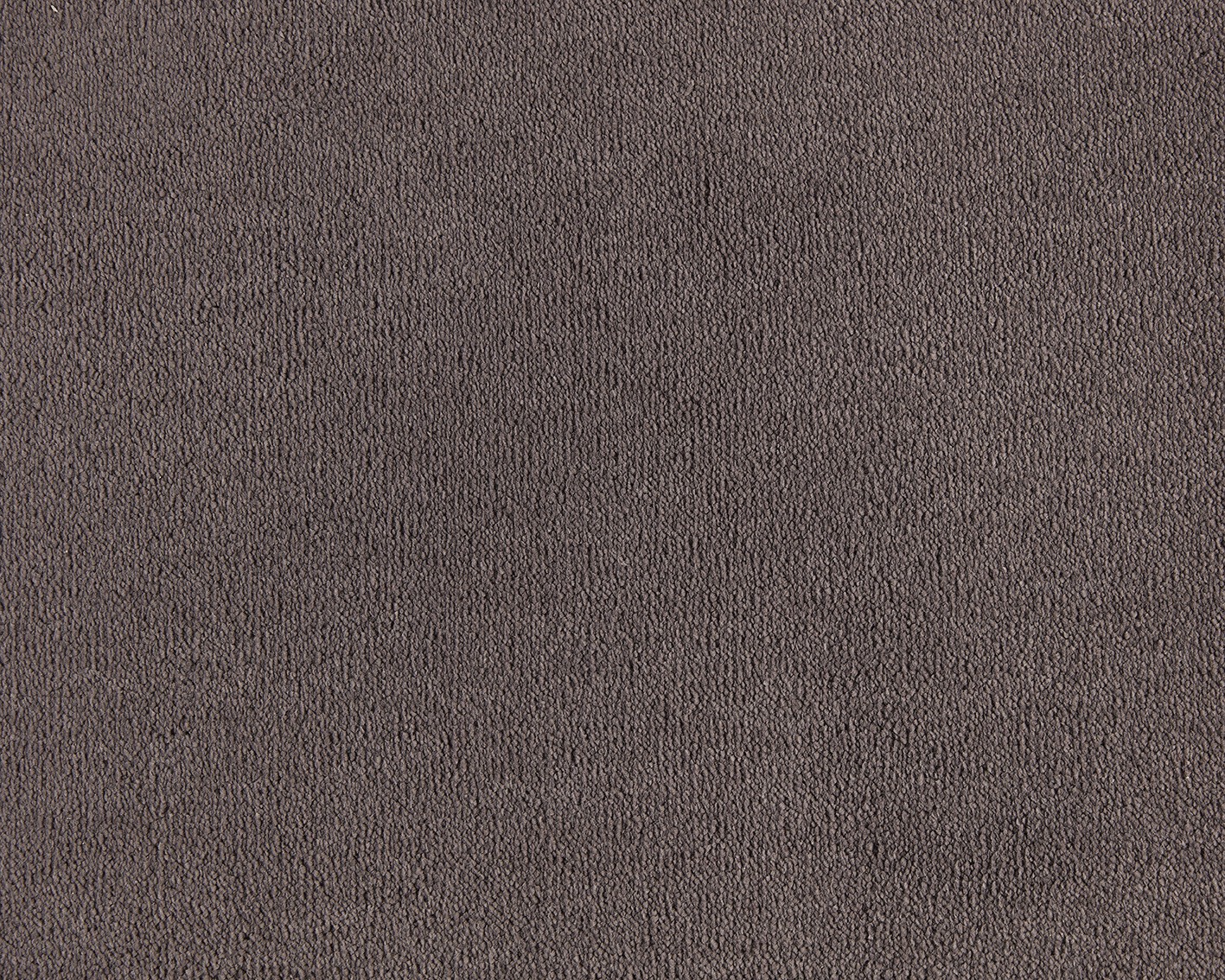 Mocheta dormitor Celeste SmartStrand Forever Clean cod 020 Lavender