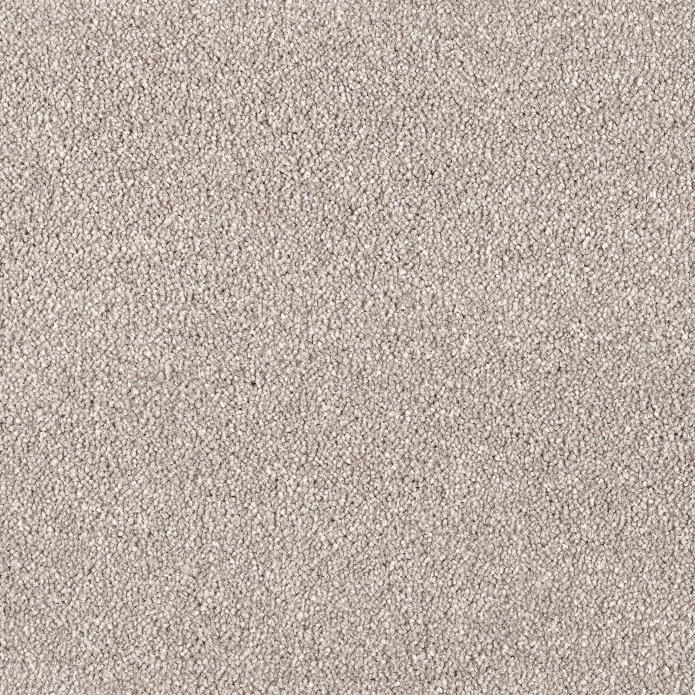 Mocheta dormitor Charisma bej cod 250   fir taiat   inaltime 9 mm   fir rasucit   pentru interior
