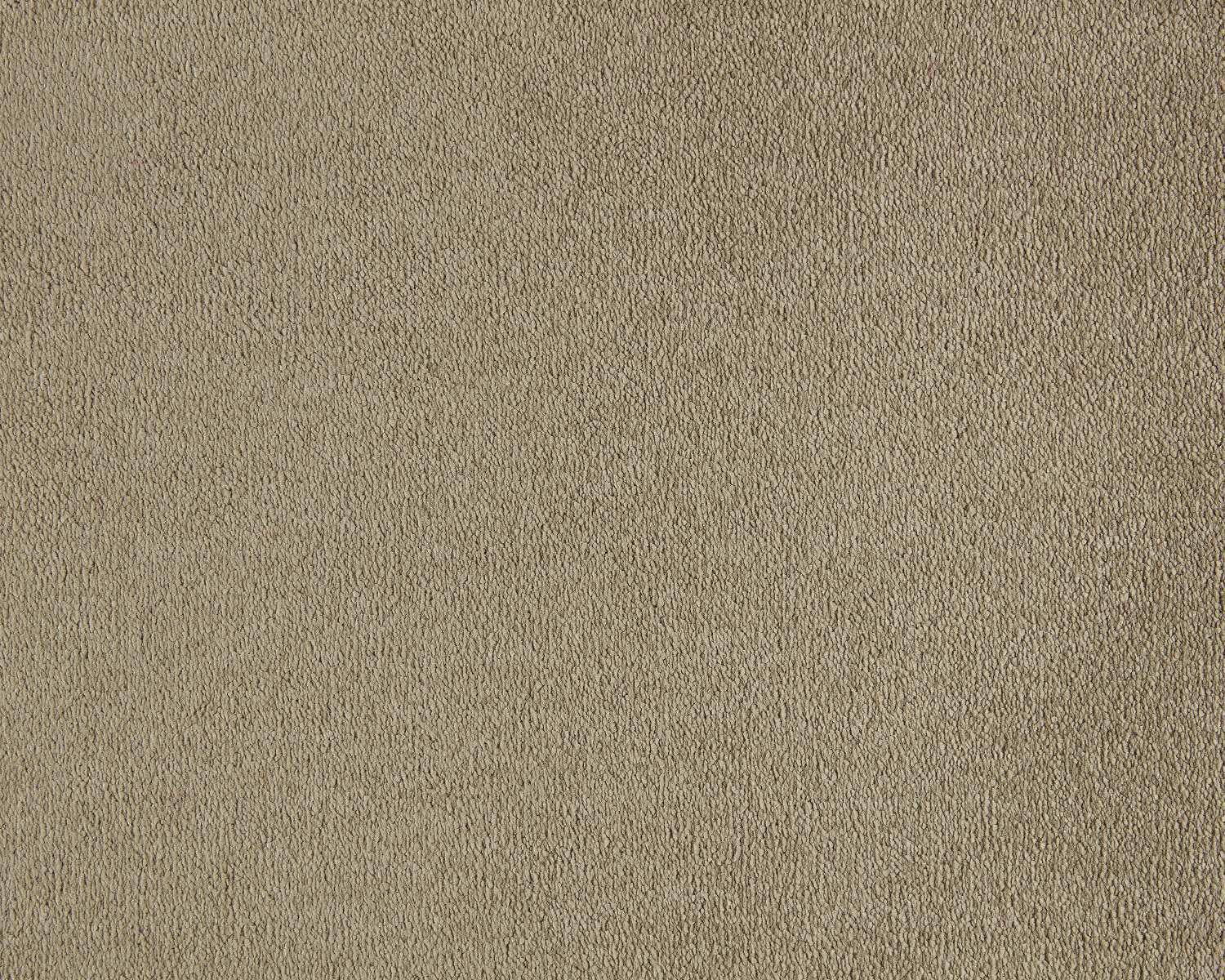Mocheta dormitor Lior SmartStrand Forever Clean 260 Camel