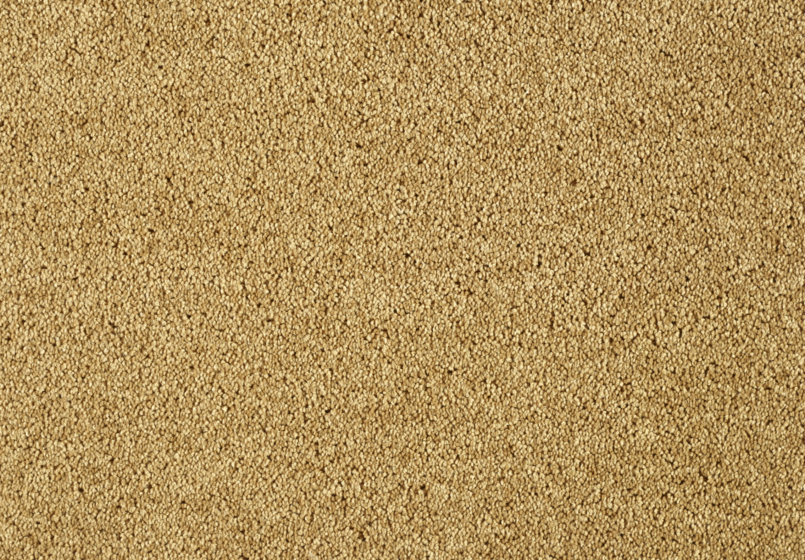 Mocheta Lounge SmartStrand Forever Clean 371 Gold Leaf
