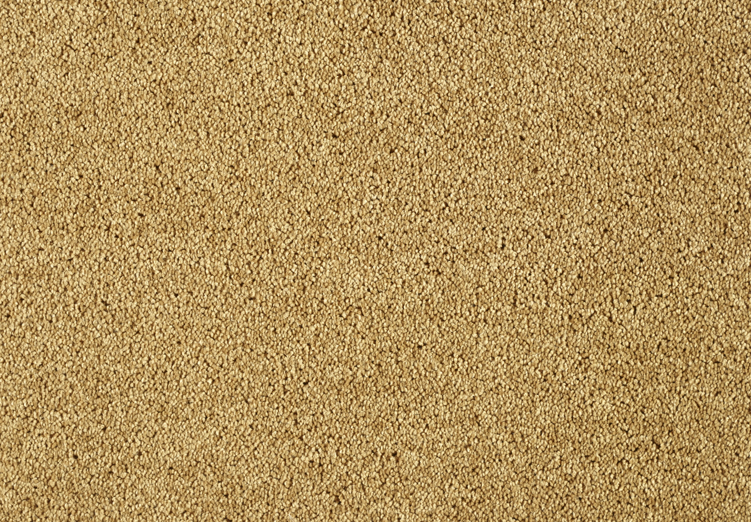 Mocheta Lounge SmartStrand Forever Clean 371 Gold Leaf