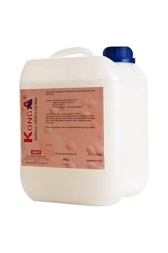 Aviz biocid – Sapun lichid cu dezinfectant 5 L Konga Silver Konga imagine 2022 depozituldepapetarie.ro