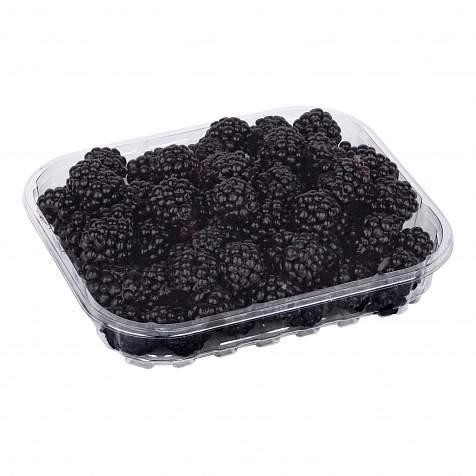 Set de 1440 bucati Caserole fructe 125gr fara capac 143x120x26 mm 125gr imagine noua