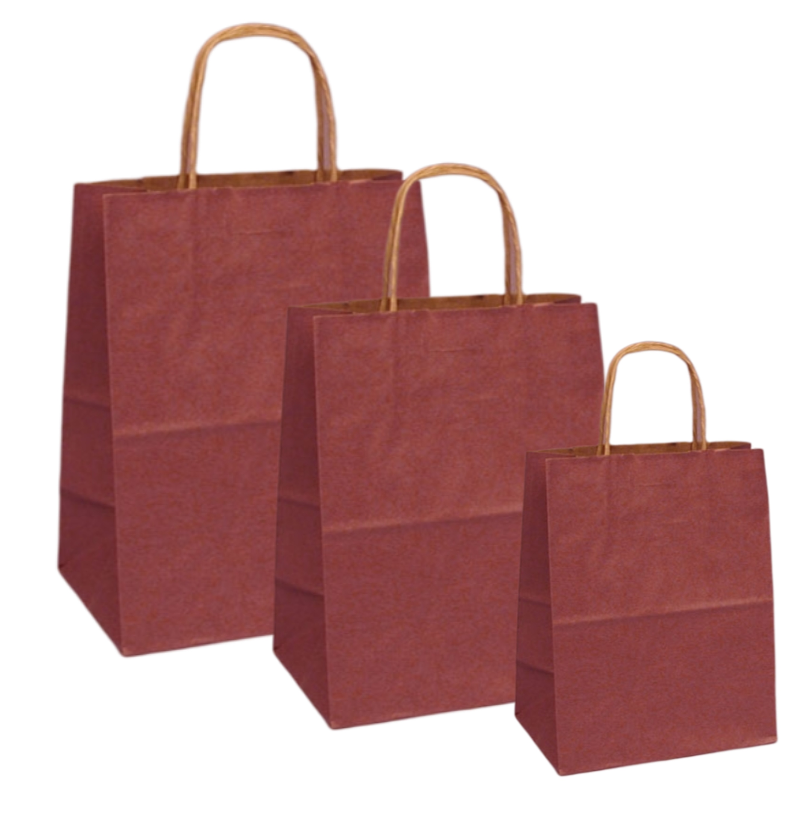 Set 100 bucati  Pungi natur  colorate bordo la exterior  16x8x21 cm