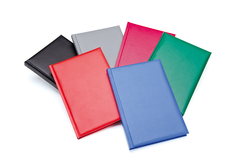 Agenda domino 14 x 20.5 cm 192 pagini