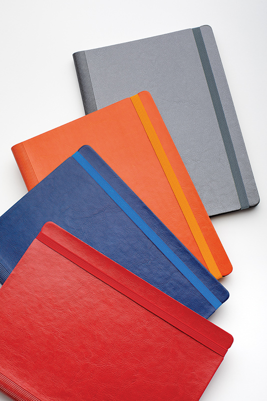 Agenda idea 16.3 x 24 cm 224 pagini