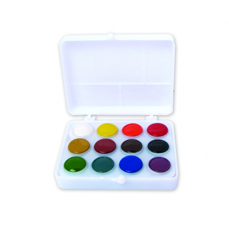 Acuarele colibri fondul plastic