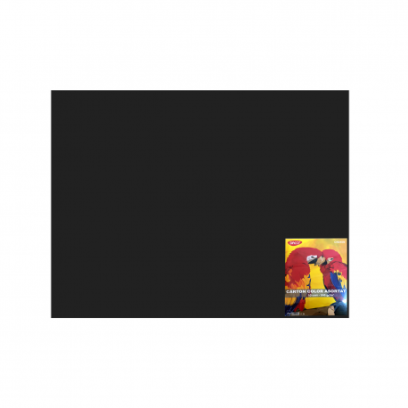 Carton color 50x65cm 240g/mp daco x 10 coli/top-cn240n negru