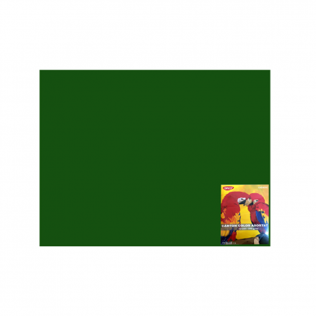 Carton color 50x65cm 240g/mp daco x 10 coli/top-cn240vi verde inchis