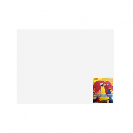 Carton color 50x65cm 240g/mp daco x 10 coli/top-cn240w alb