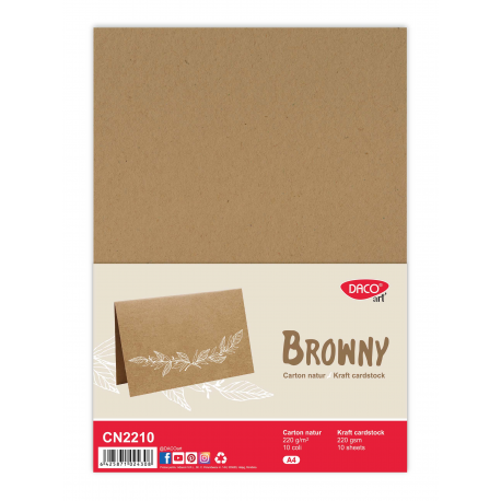 Carton natur a4 10 coli daco-cn2210