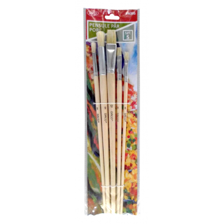 Pensule set 5 par porc daco pn395