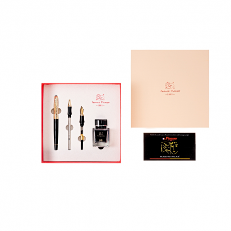 Set stilou caligrafic+roller+calimara picasso 888