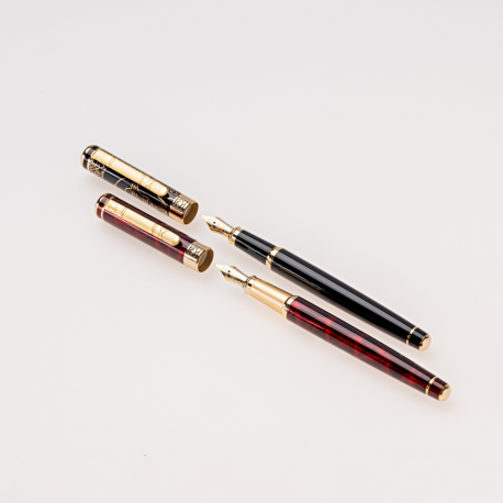 Set stilou+calimara+etui picasso 9902r