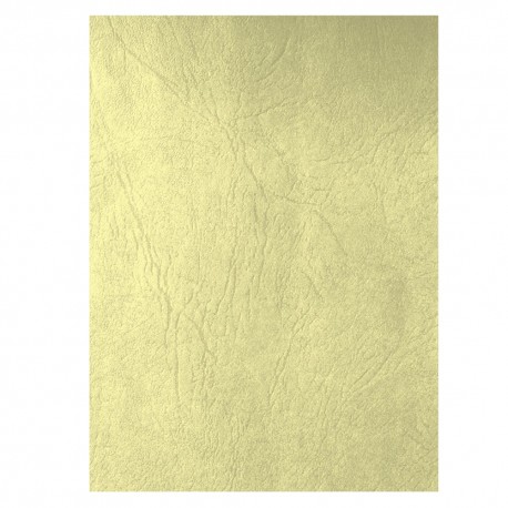 Coperta carton imitatie piele ecada c