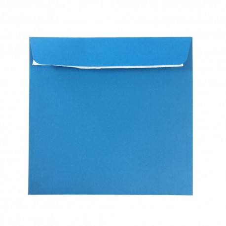 Plic 16x16 cm patrat color siliconic daco pc1616a