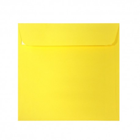 Plic 16x16 cm patrat color siliconic daco pc1616g