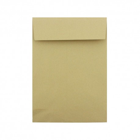 Plic c4 burduf daco pc413