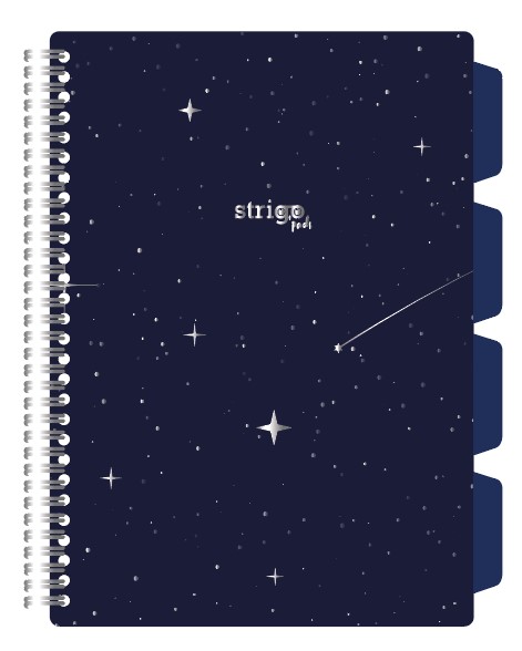 Caiet cu spirala si separatoare  STRIGO PADS Project Book SKY   A4  Matematica  PADS005