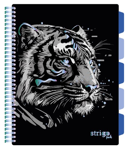 Caiet cu spirala si separatoare  STRIGO PADS Project Book TIGRU  A4  Matematica  PADS020