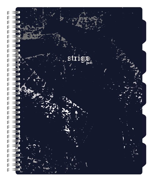 Caiet cu spirala si separatoare  STRIGO PADS Project Book Marmorat A4  matematica  PADS026