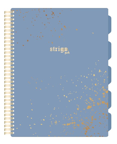 Caiet cu spirala si separatoare  STRIGO PADS Project Book Marmorat A4  Matematica  PADS028