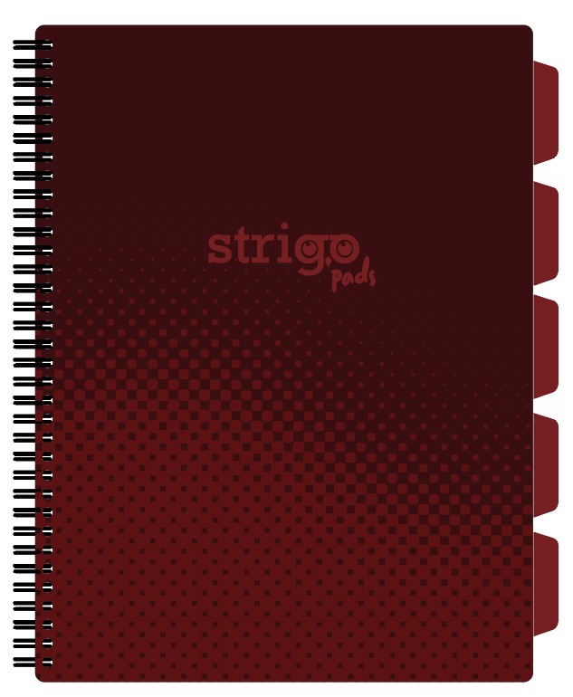 Caiet cu spirala si separatoare  STRIGO PADS Project Book Basic A4  Matematica  PADS056