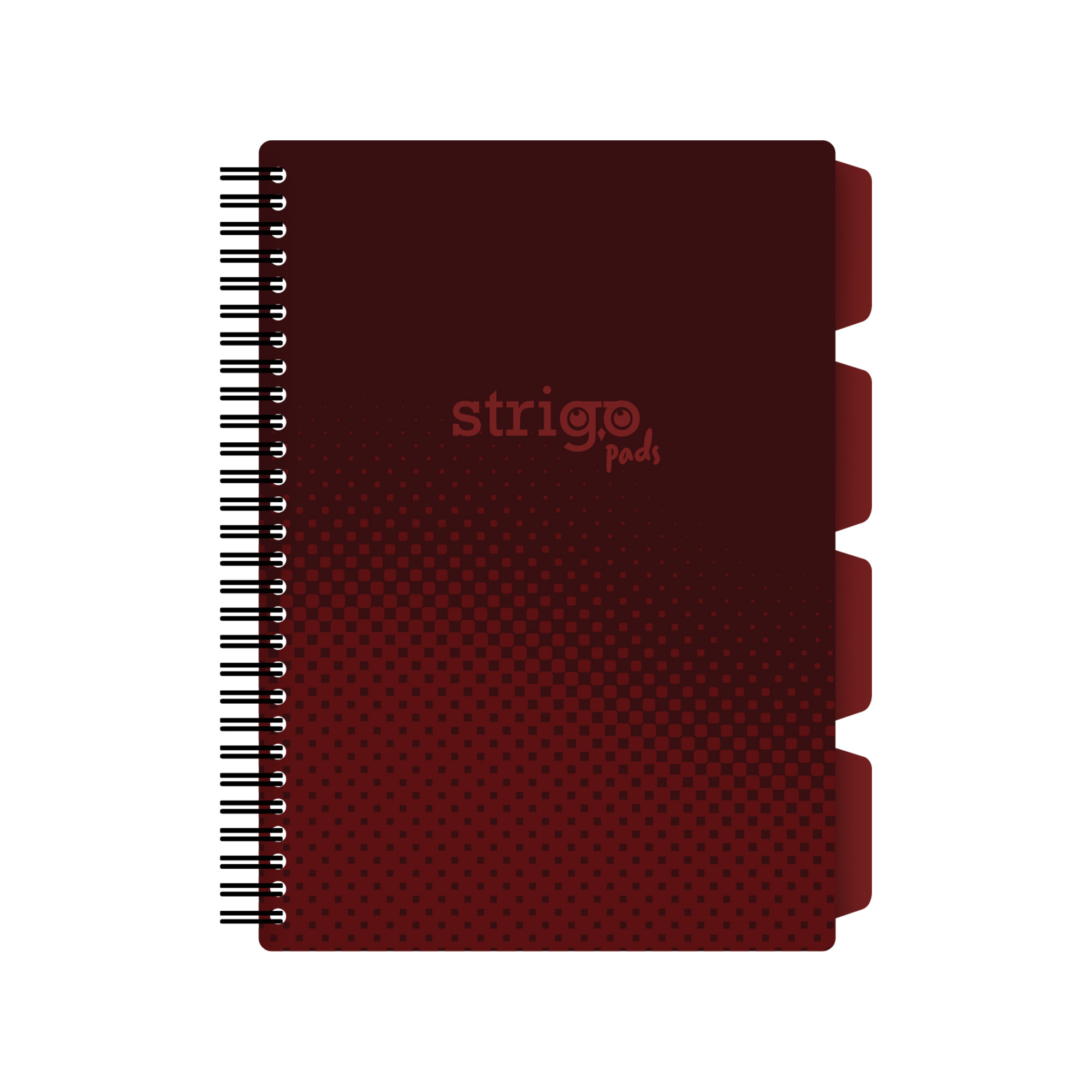 Caiet cu spirala si separatoare  STRIGO PADS Project Book Basic B5  Matematica  PADS059