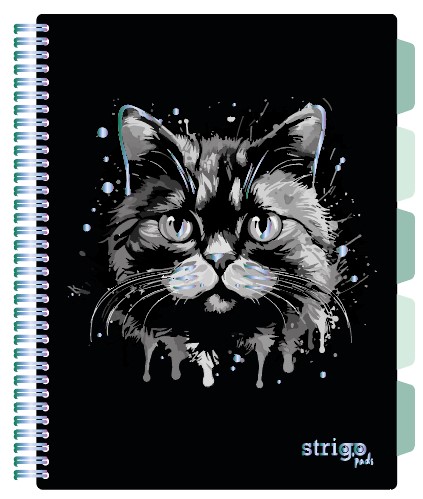 Caiet cu spirala si separatoare  STRIGO PADS Project Book PISICA  A4  Dictando  PADS091
