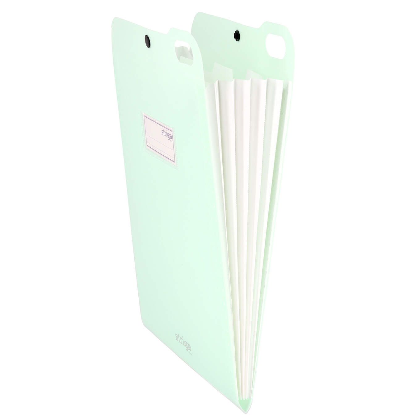 Organizator Strigo  PP  A4  vertical  5 separatoare  inchidere capsa  menta SF068
