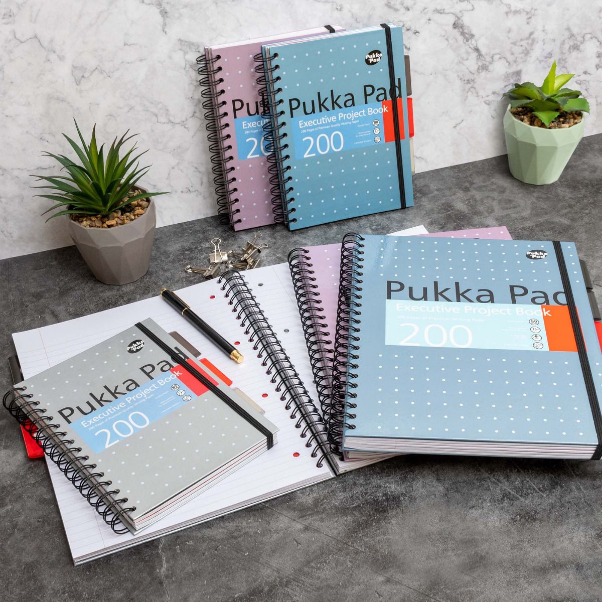 Caiet cu spirala si separatoare Pukka Pads A5 Executive Metallic Project Book  200 pag  80 g  coperti cartonate