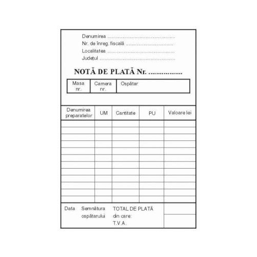 Nota plata a6 c100 3 bucati/set