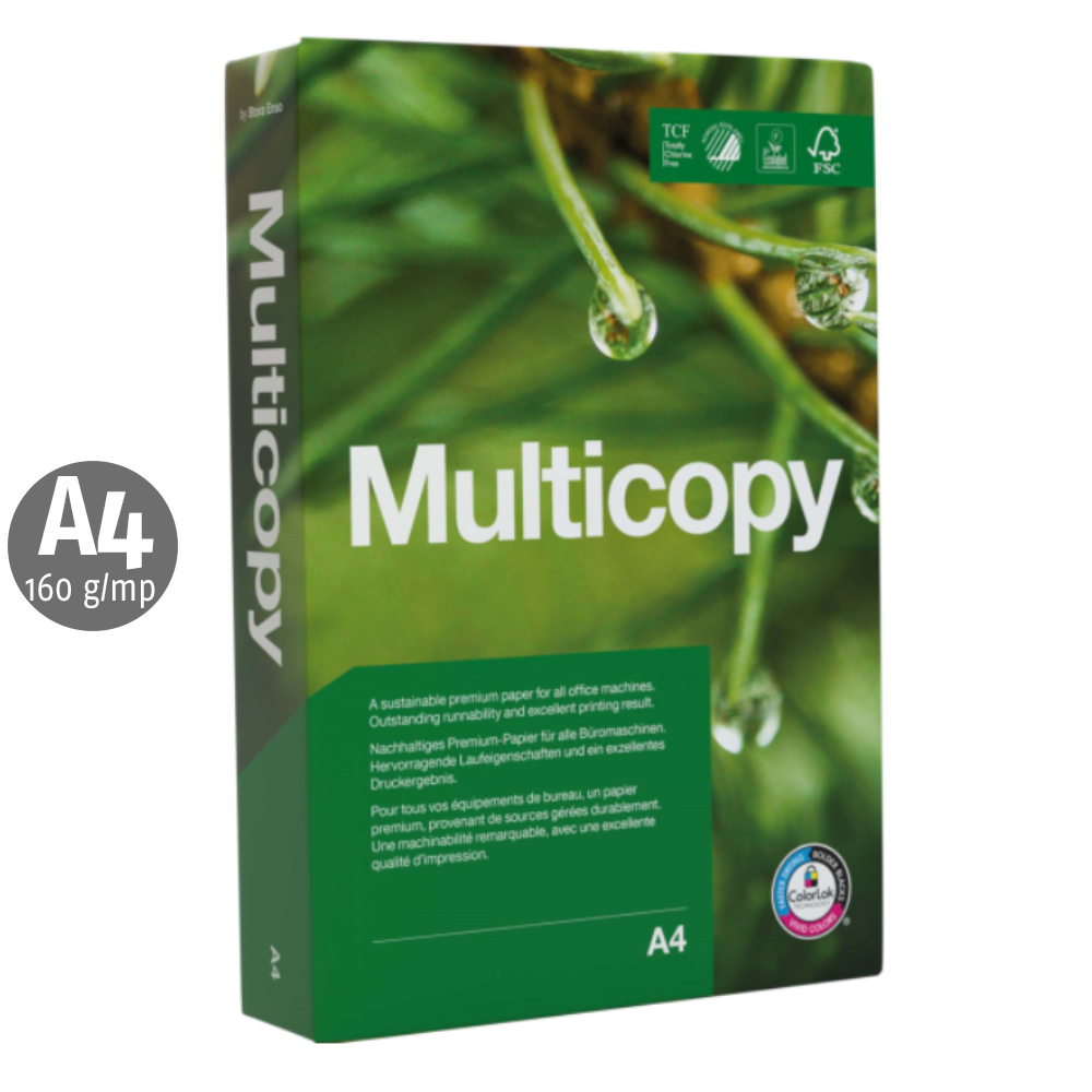 Carton Multicopy A4 160 g/mp 250 coli/top MultiCopy