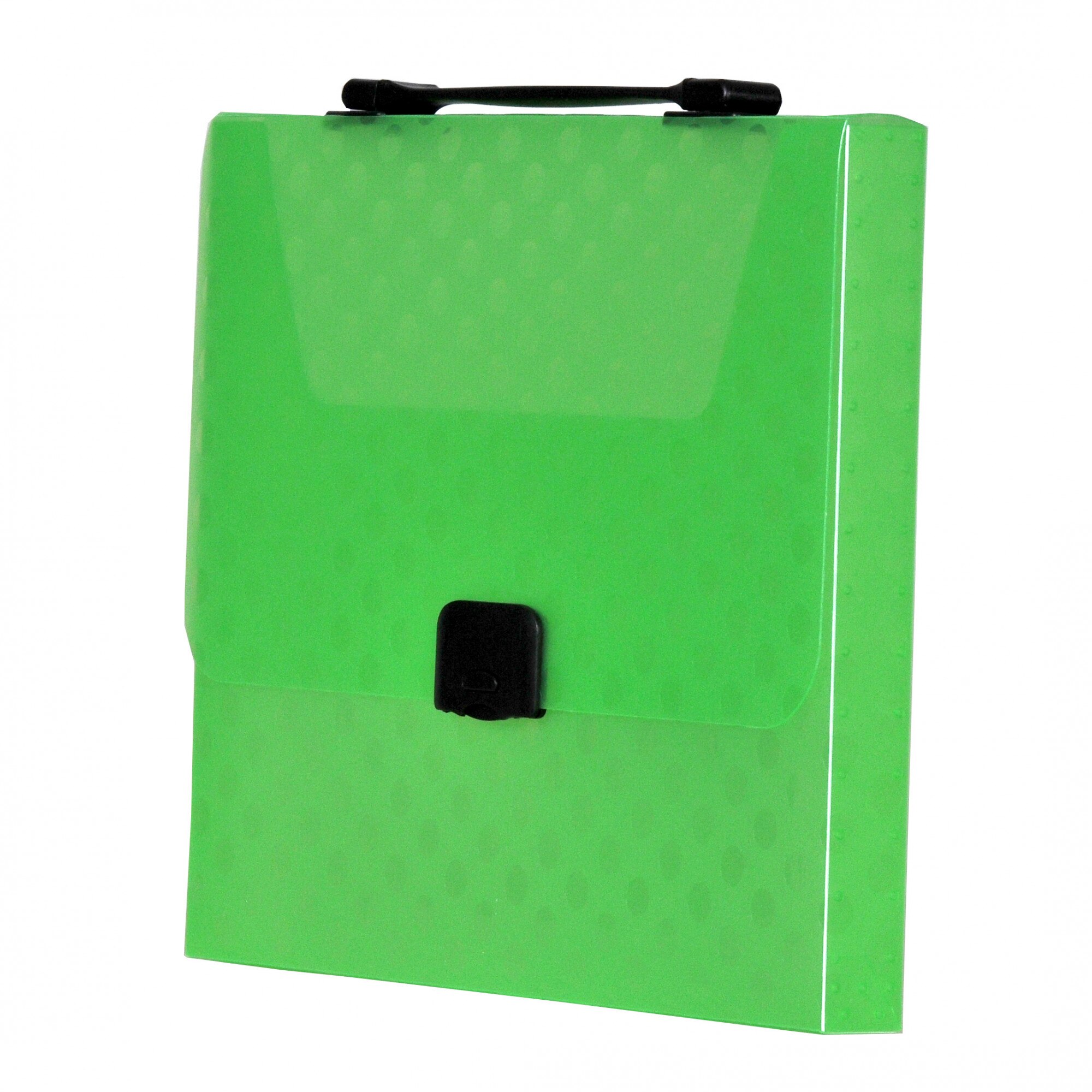 Geanta semitransparenta din plastic  verde  330x240x35mm